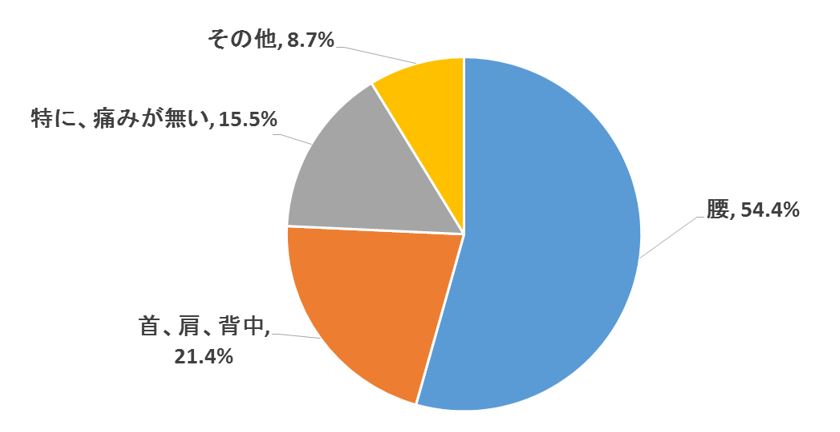 商品購入前事前アンケート.JPG